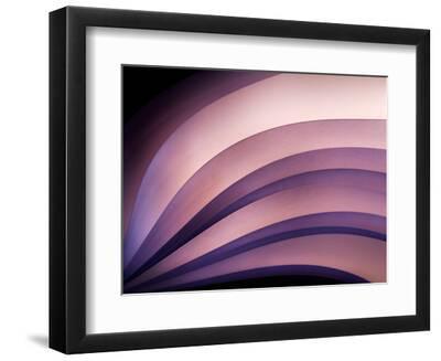 A Fan of Purple - Black Framed Art Print Wall Art, 12x9 A Fan of Purple - Black Framed Art Print Wall Art, 12x9