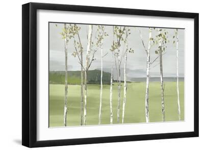 Birch Valley - Black Framed Art Print Wall Art, 18x12