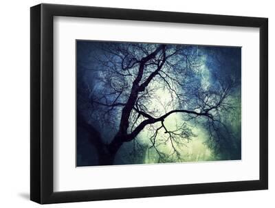 Branches at Night - Black Framed Art Print Wall Art, 12x8 Branches at Night - Black Framed Art Print Wall Art, 12x8
