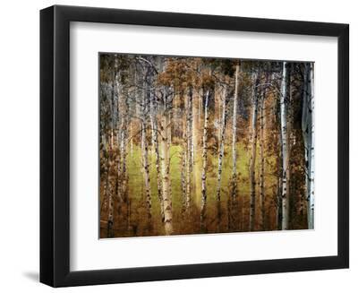 Crunchy - Black Framed Art Print Wall Art, 12x9 Crunchy - Black Framed Art Print Wall Art, 12x9