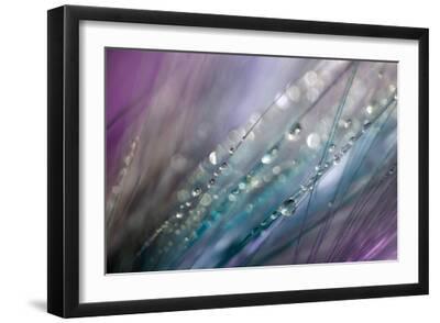 Dew 2 - Black Framed Art Print Wall Art, 18x12 Dew 2 - Black Framed Art Print Wall Art, 18x12