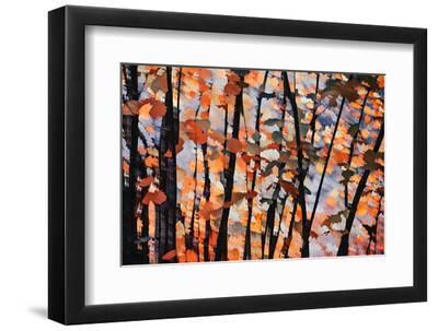 Fall Branches 1 - Black Framed Art Print Wall Art, 12x8 Fall Branches 1 - Black Framed Art Print Wall Art, 12x8