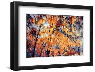 Fall Branches 3 - Black Framed Art Print Wall Art, 12x8 Fall Branches 3 - Black Framed Art Print Wall Art, 12x8