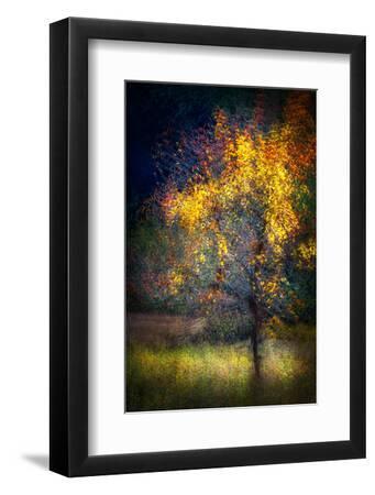 Fall Drama - Black Framed Art Print Wall Art, 8x12 Fall Drama - Black Framed Art Print Wall Art, 8x12