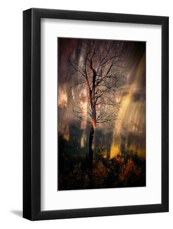 Fiery Night - Black Framed Art Print Wall Art, 8x12 Fiery Night - Black Framed Art Print Wall Art, 8x12