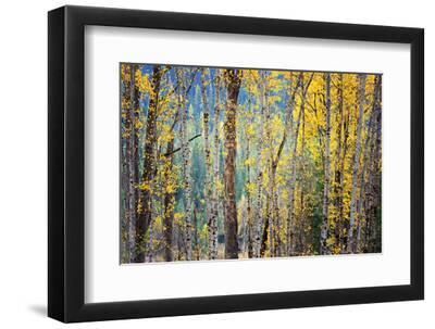 Kootenay Fall 4 - Black Framed Art Print Wall Art, 12x8