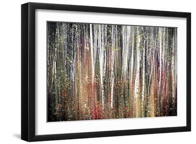 Pink Autumn - Black Framed Art Print Wall Art, 18x12