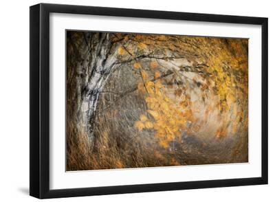 Spirit of Autumn - Black Framed Art Print Wall Art, 18x12