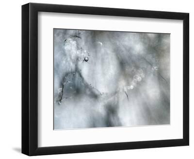 Star Player - Black Framed Art Print Wall Art, 12x9