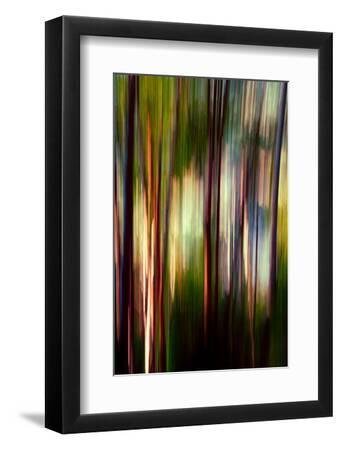 Trees - Black Framed Art Print Wall Art, 8x12