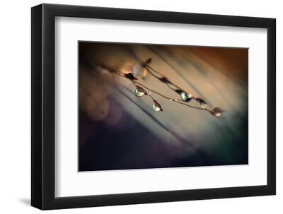 Two Droplets - Black Framed Art Print Wall Art, 12x8