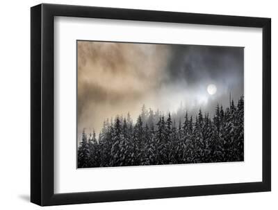 Winter Sun - Black Framed Art Print Wall Art, 12x8 Winter Sun - Black Framed Art Print Wall Art, 12x8